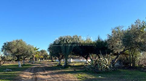 Photo 2 of Country house for sale in Carmona, Sevilla