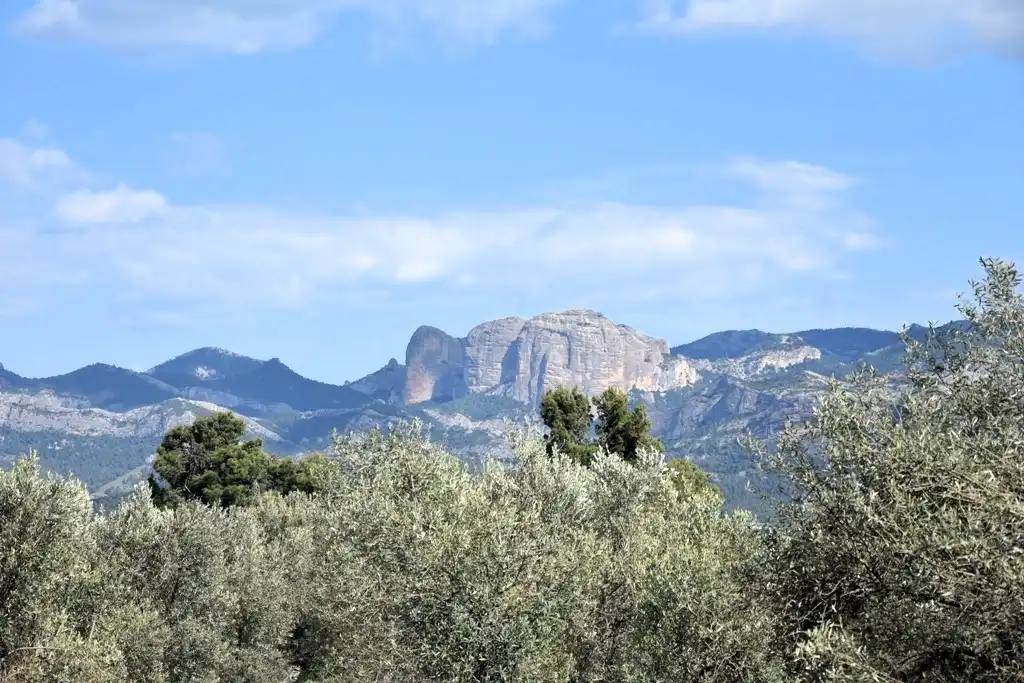 Terreni e lotti in vendita a Cretas, imagen 14