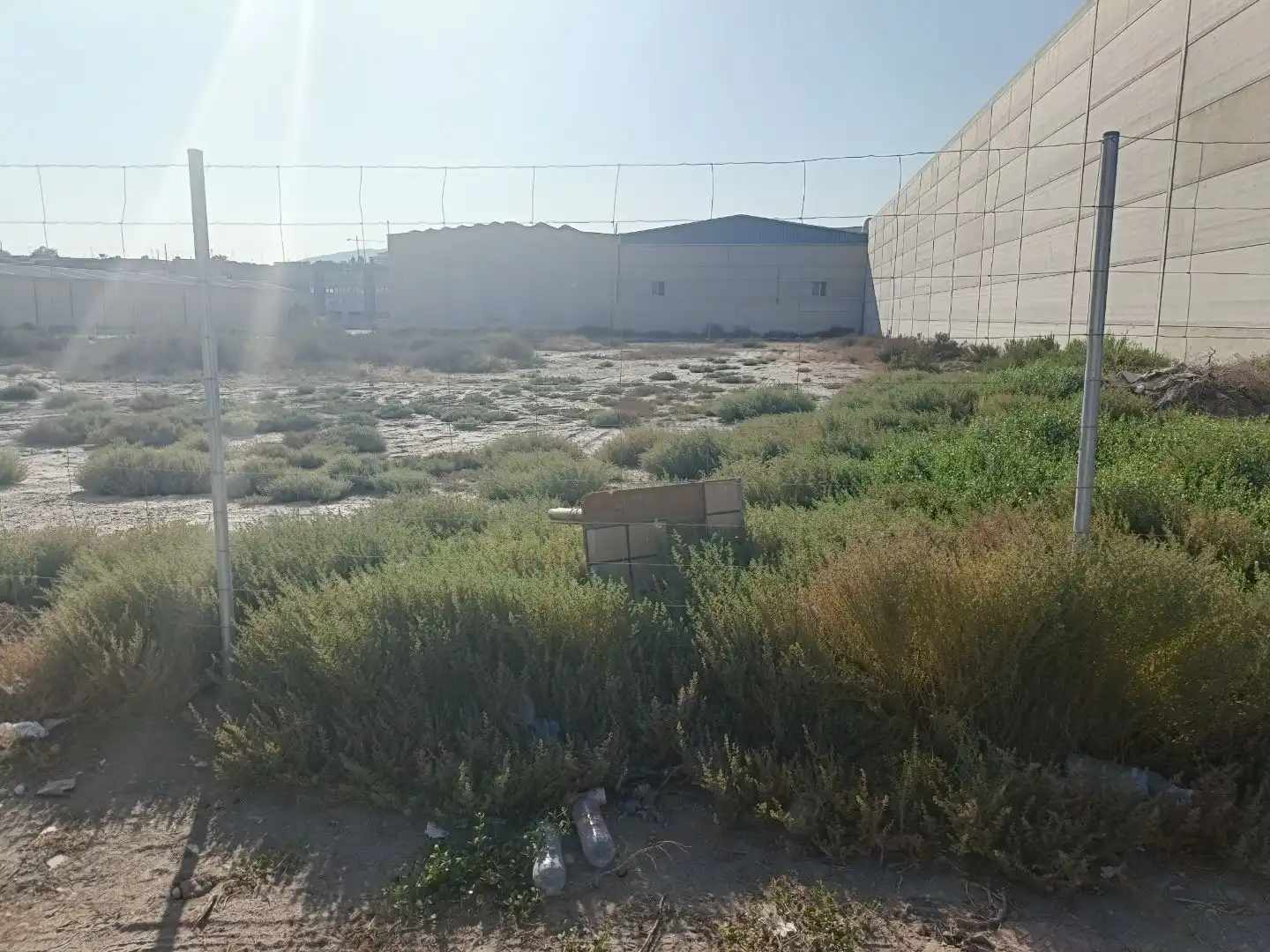 Lands and plots for sale in AVD Mare Nostrum 272, imagen 2