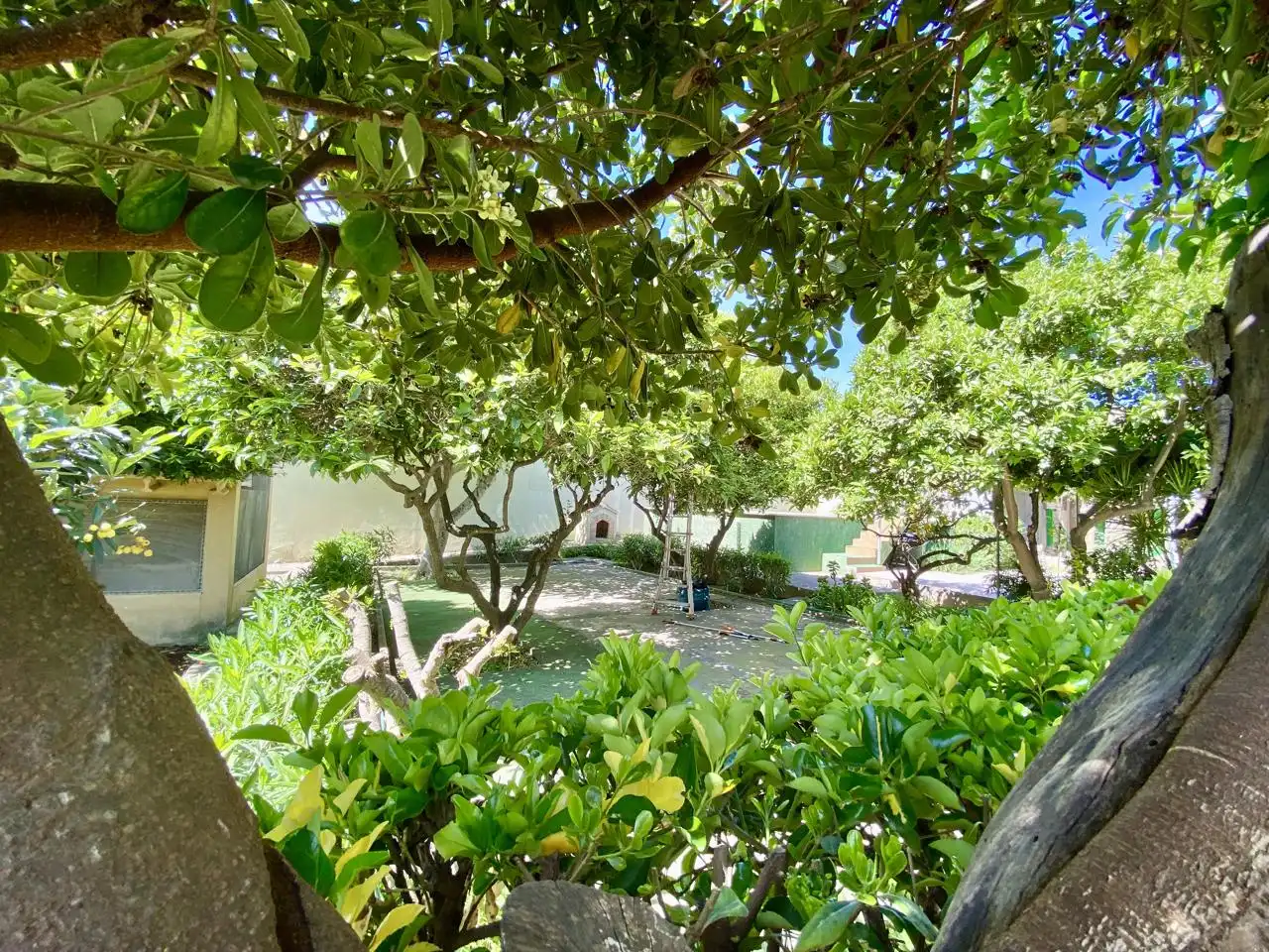 Garten von Haus oder Chalet zum Verkauf in  Palma de Mallorca mit Privatgarten, Terrasse und Abstellraum