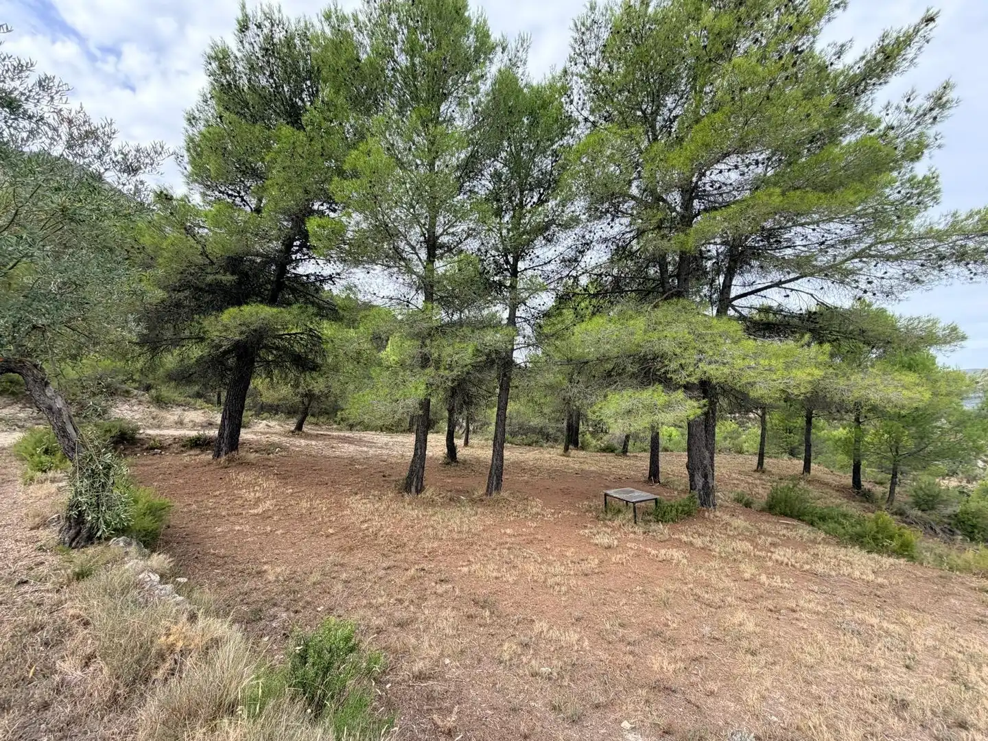 Residencial en venta en Fageca, Alicante