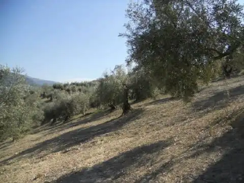 Terreni e lotti in vendita a Prado De Las Salinas, imagen 4