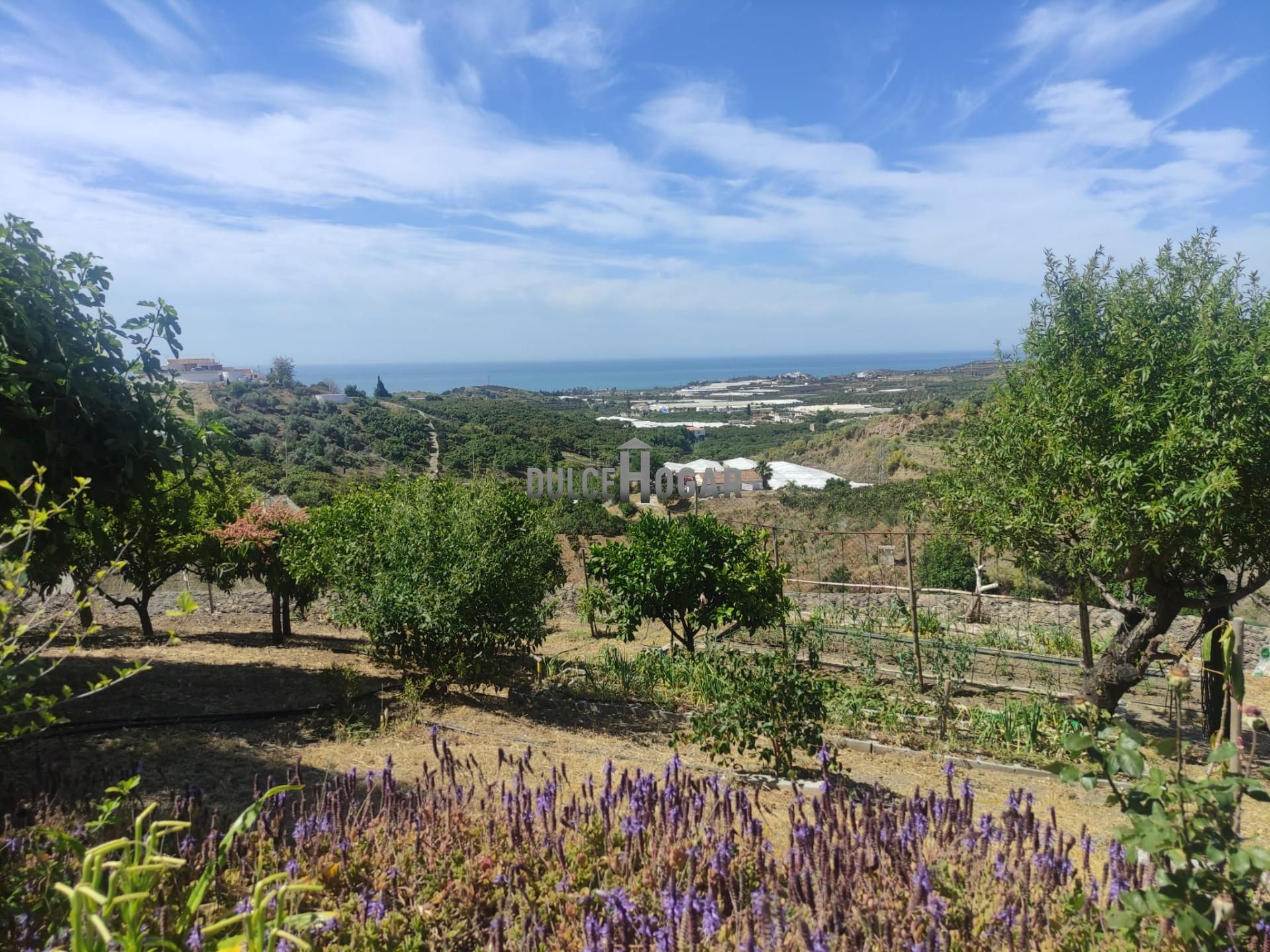 Finca rústica en venda en Vélez-Málaga amb Aire condicionat, Jardí privat i Terrassa