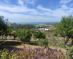 Finca rústica en venda en Vélez-Málaga amb Aire condicionat, Jardí privat i Terrassa