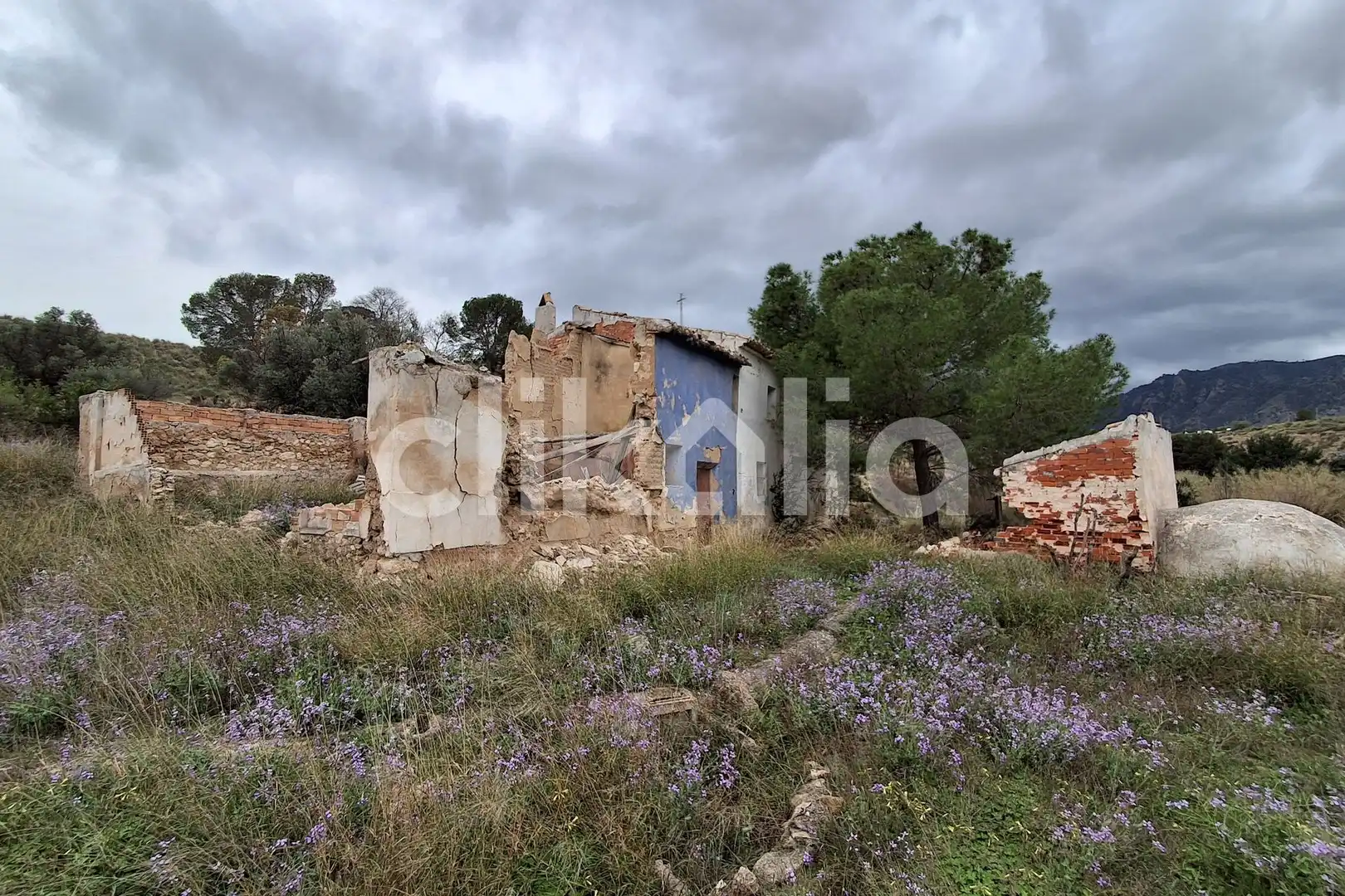 Casa rústica en venda a Ricote, imagen 21