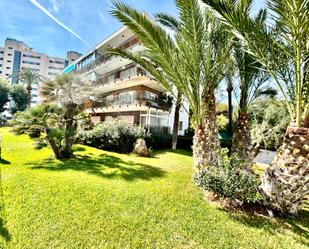 Vista exterior de Planta baixa en venda en Alicante / Alacant amb Terrassa i Piscina comunitària