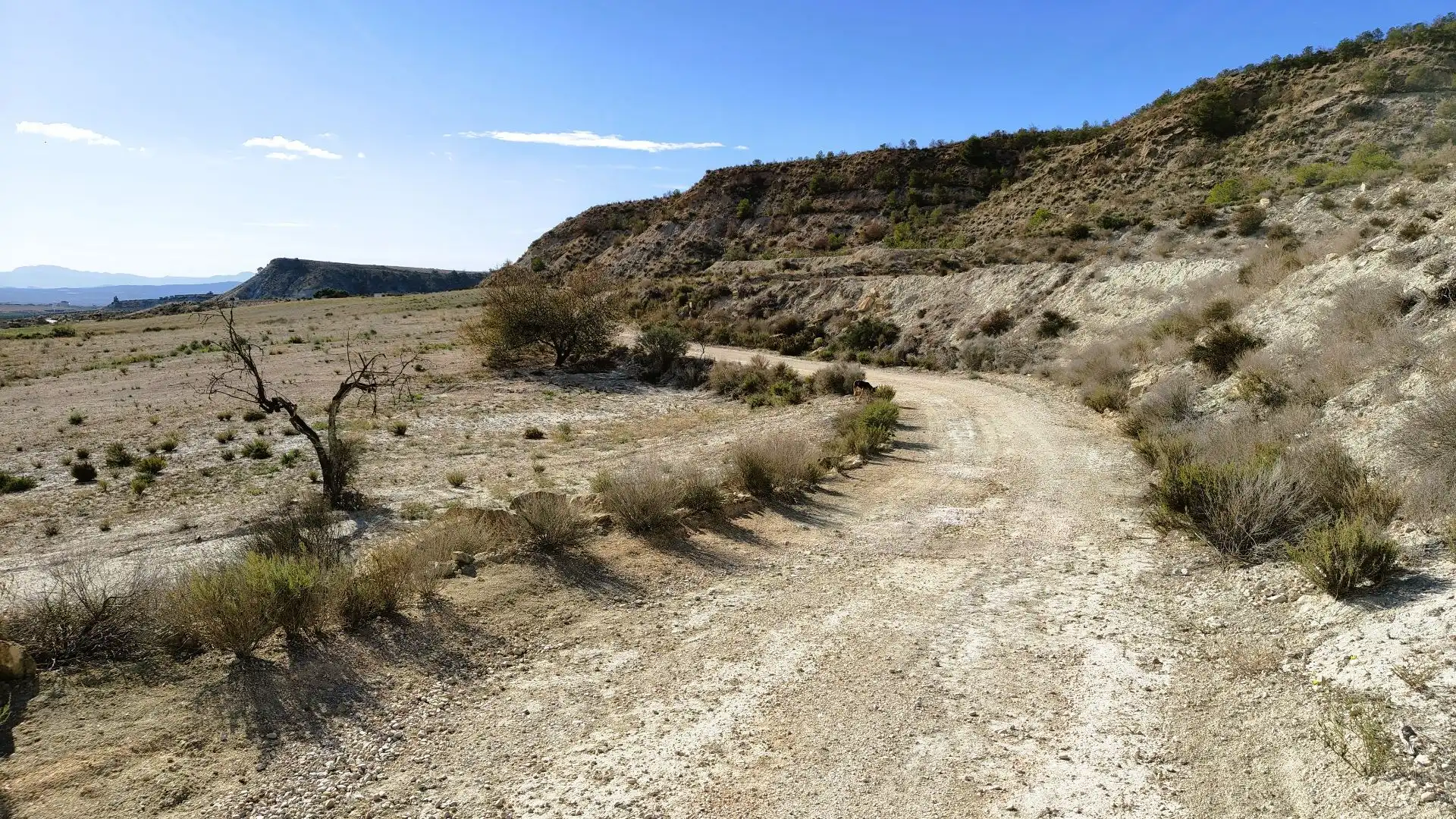 Rural land for sale in Fortuna, imagen 4
