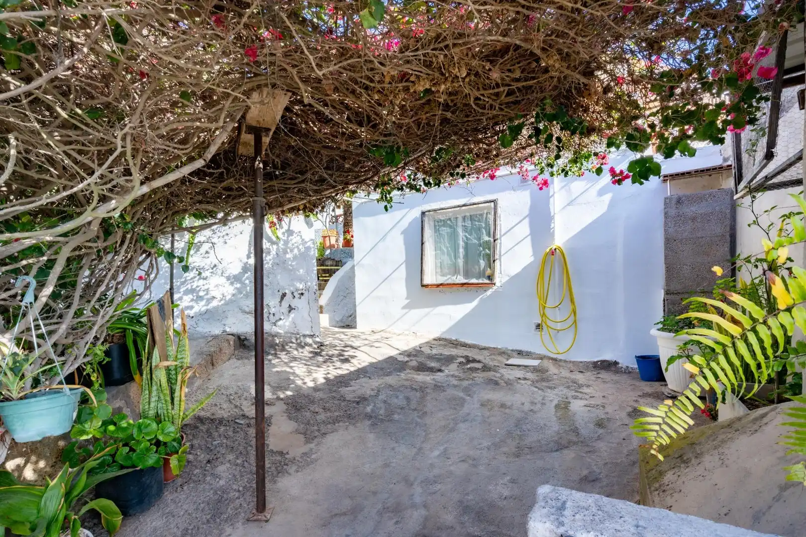 Vista exterior de Finca rústica en venta en Granadilla de Abona con Calefacción, Terraza y Amueblado