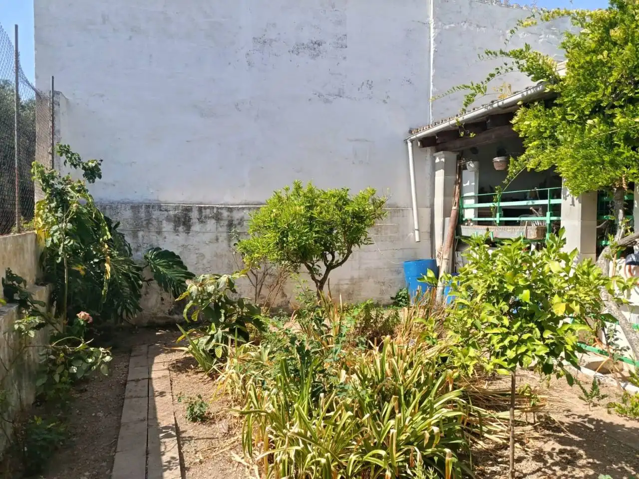 Jardí de Casa o xalet en venda en  Palma de Mallorca amb Aire condicionat, Calefacció i Jardí privat