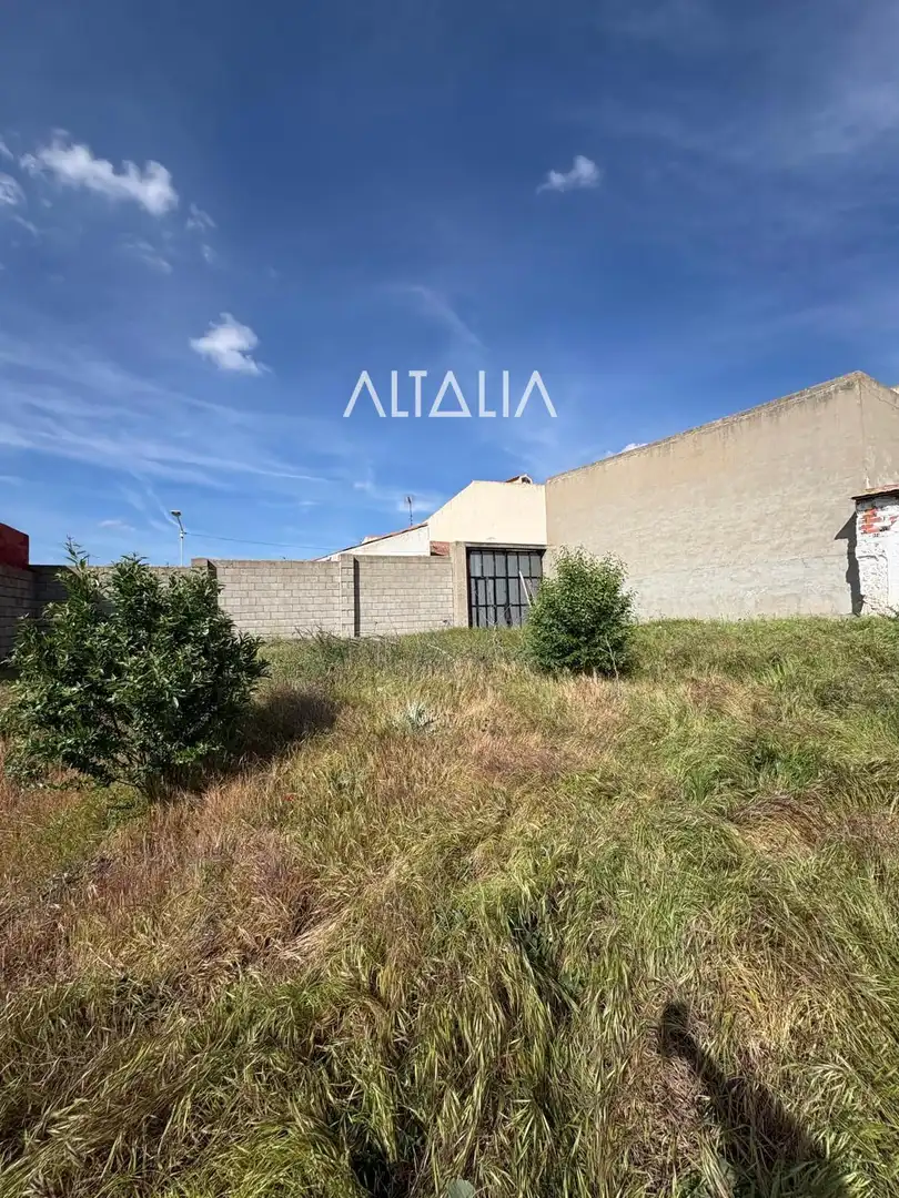 Land for sale in Belmonte