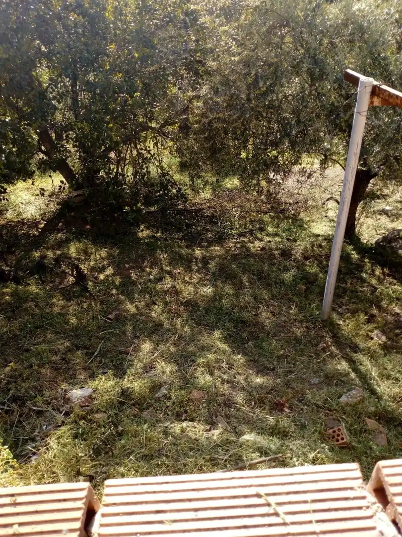 Casa rústica en venda a Comares, imagen 15