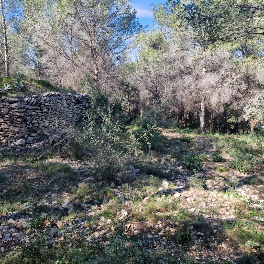 Terreno residencial en venta en Carrer Gessamí 18, imagen 25