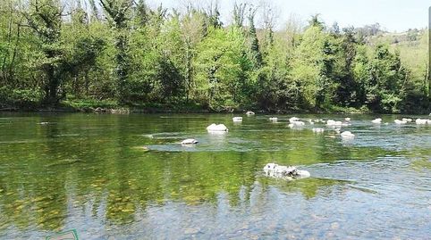 Foto 4 de Casa o chalet en venta en San Claudio - Trubia - Las Caldas, Oviedo