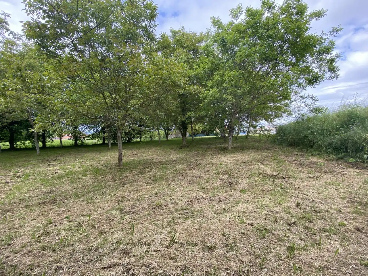 Casa amb jardí en venda a chan da aldea, imagen 19