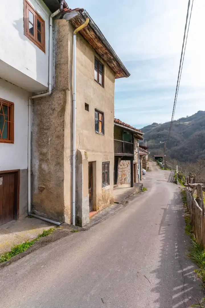 Vista exterior de Casa o xalet en venda en Laviana amb Jardí privat
