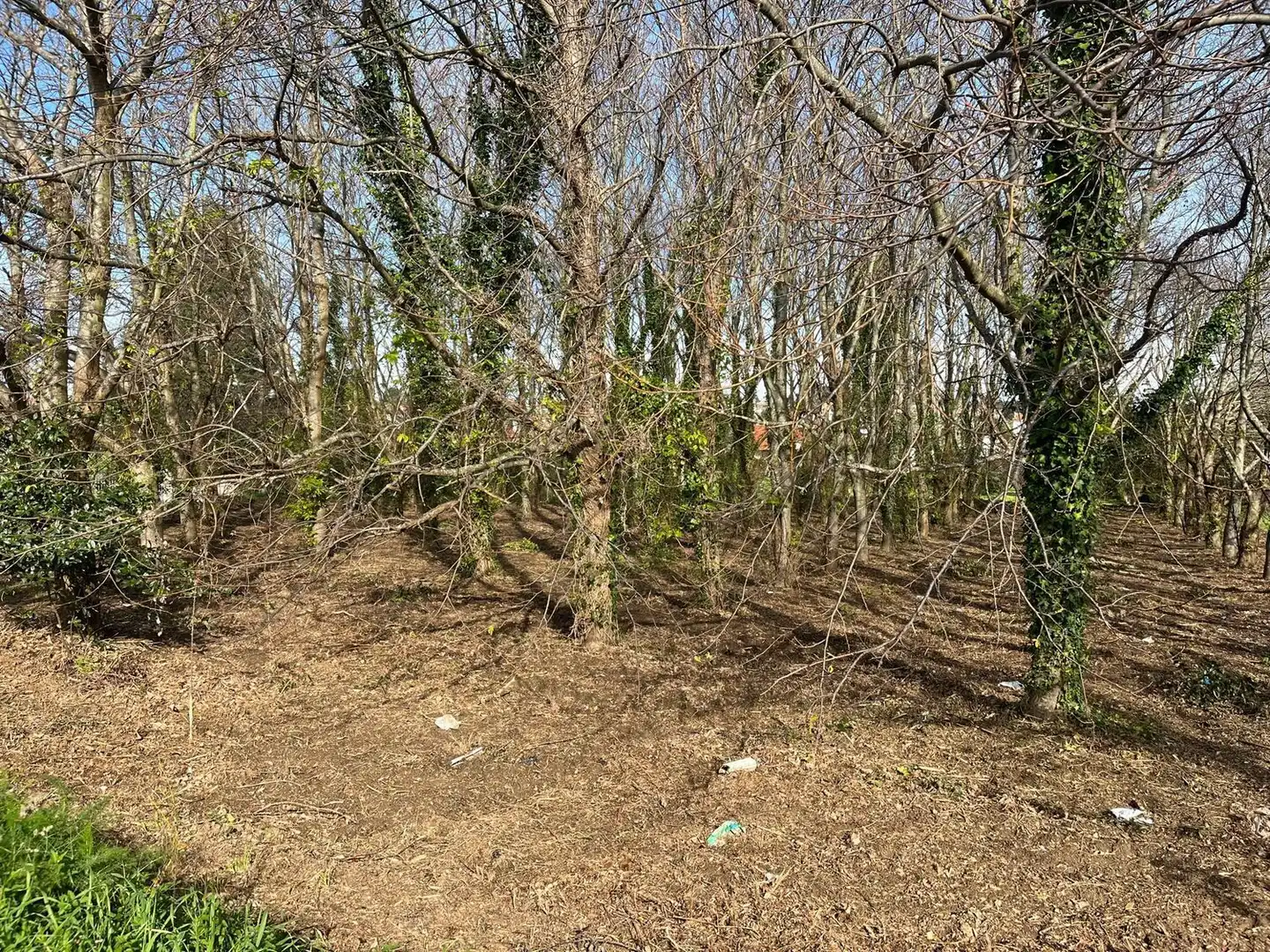Rural land for sale in AC-116 16, imagen 3