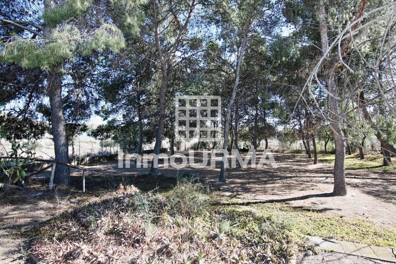 Casa o xalet en venda en Elda amb Jardí privat