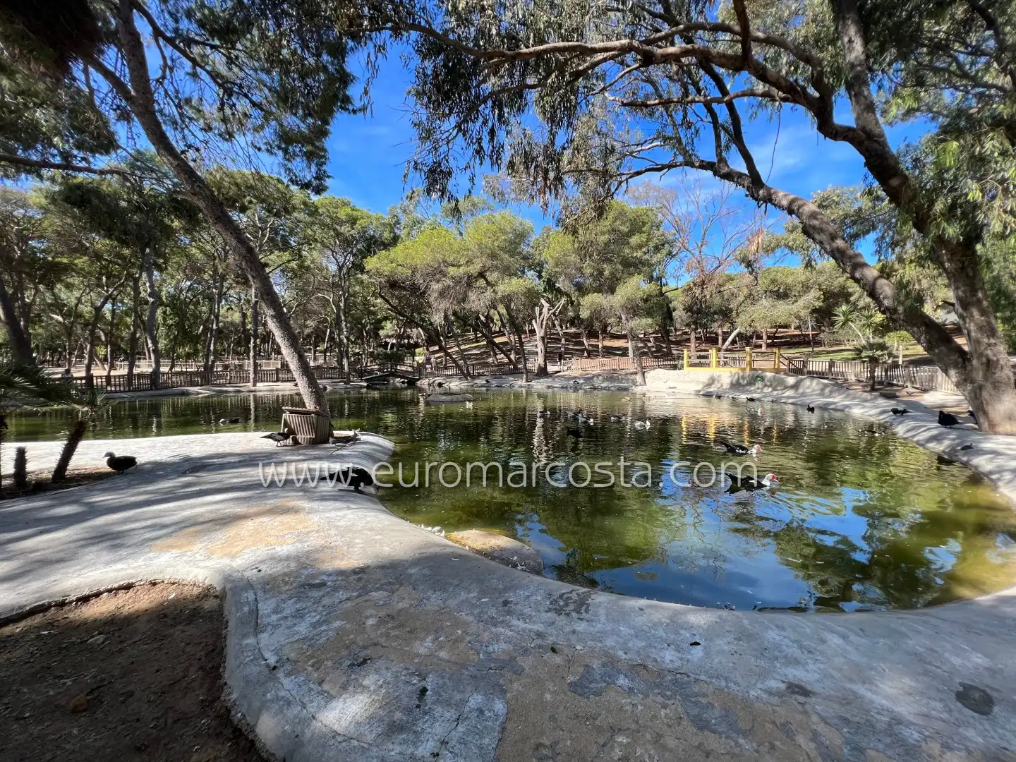 Exterior view of Flat for sale in Guardamar del Segura  with Air Conditioner, Heating and Terrace