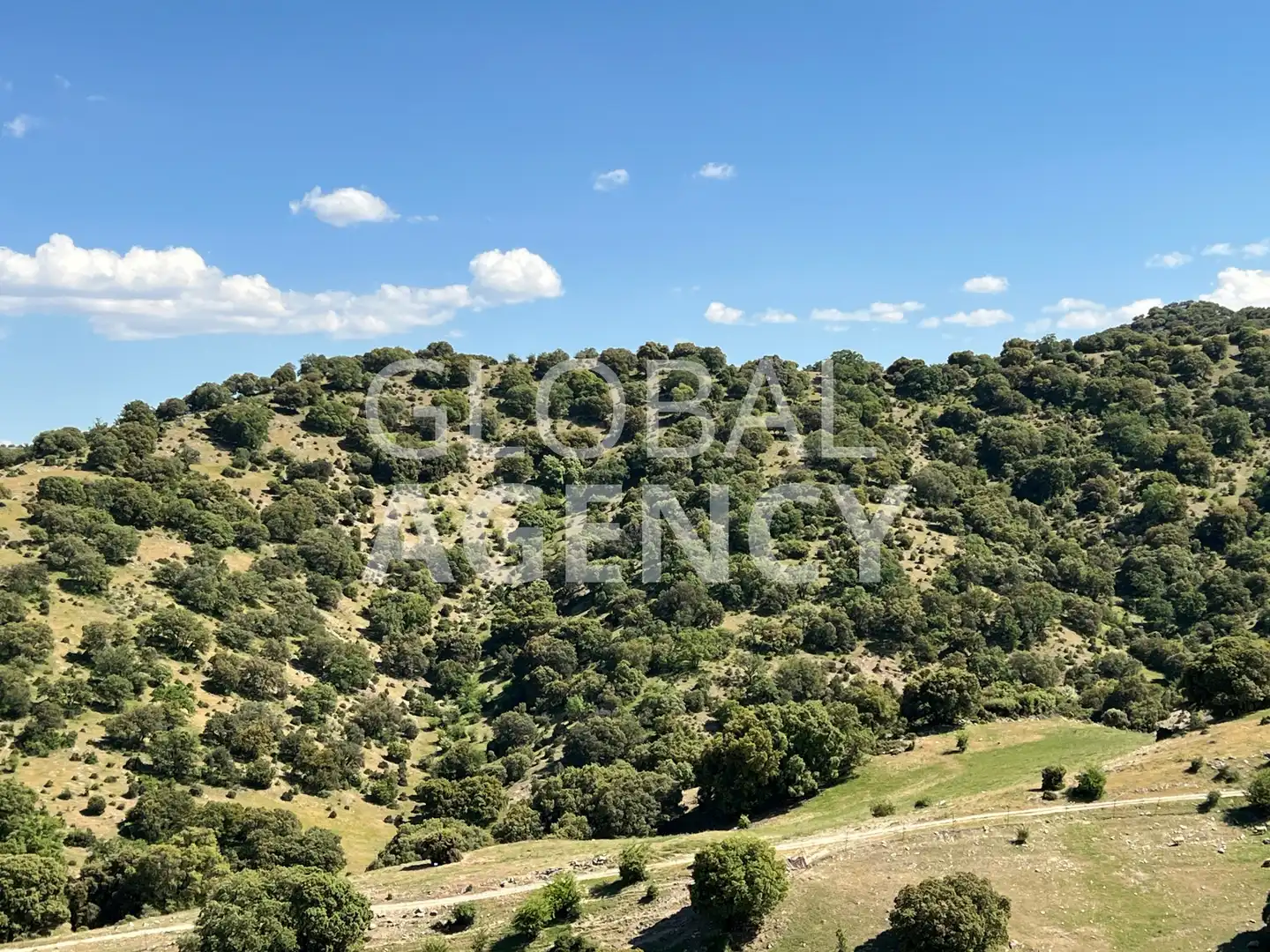 Terreny en venda en Jaén
