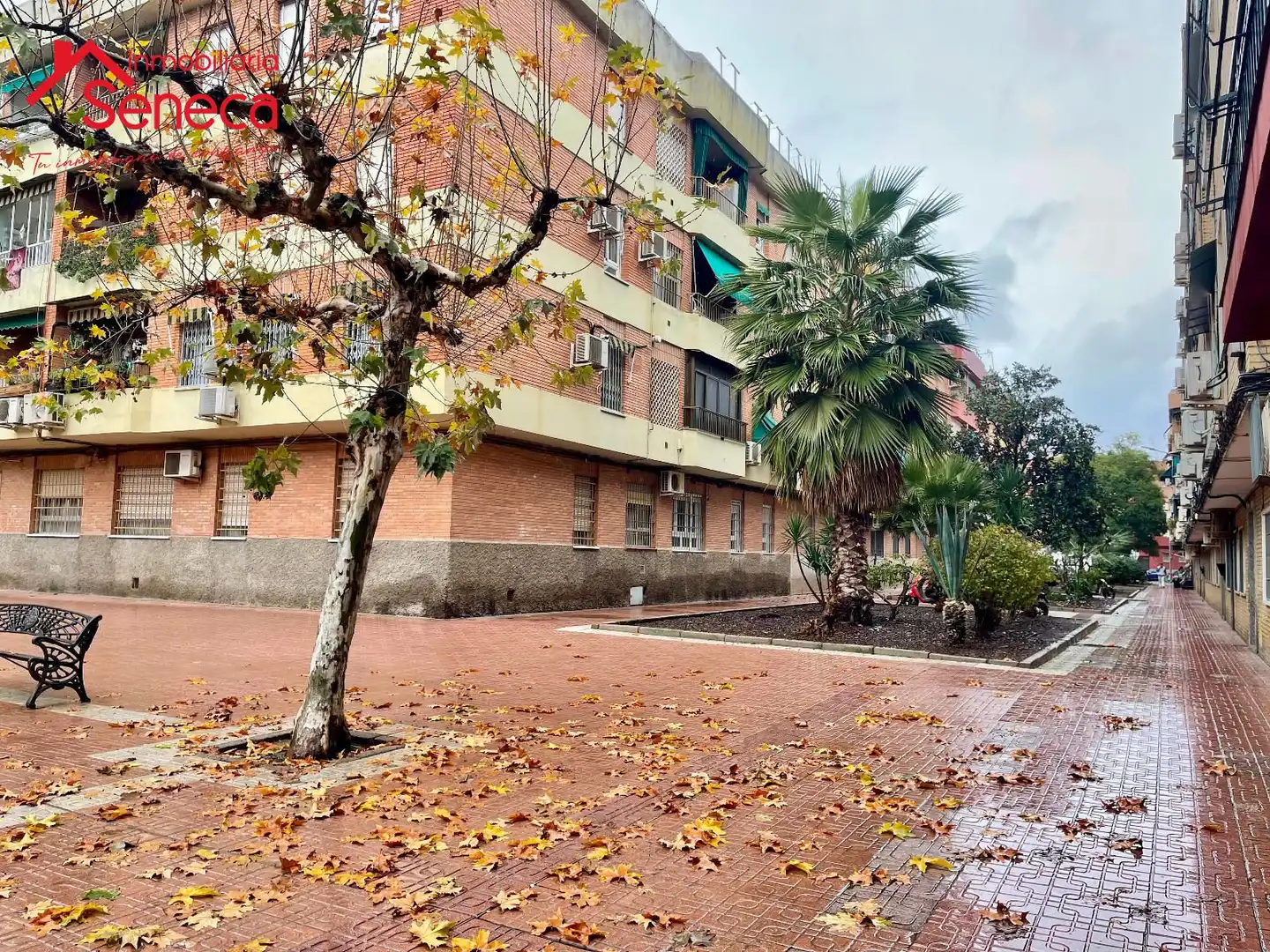 Vista exterior de Pis en venda en Córdoba amb Aire condicionat i Terrassa
