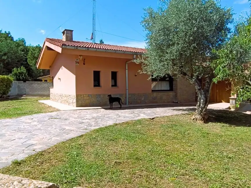 Chalet con jardín en venta en Enric borras 7