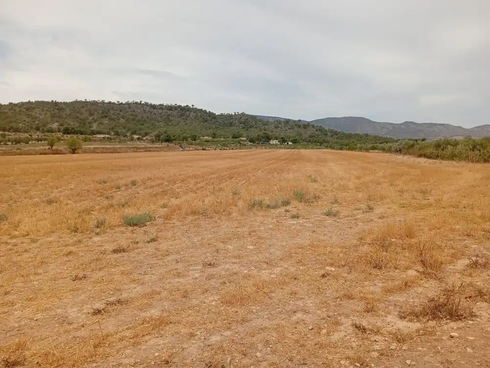 Residential land for sale in N/A, imagen 3