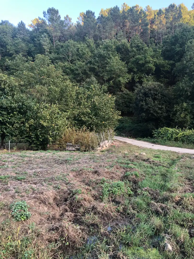Casa o xalet en venda a Aldea Veiga, O Carballiño