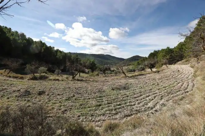 Rural land for sale in Torremanzanas / La Torre de les Maçanes, imagen 15