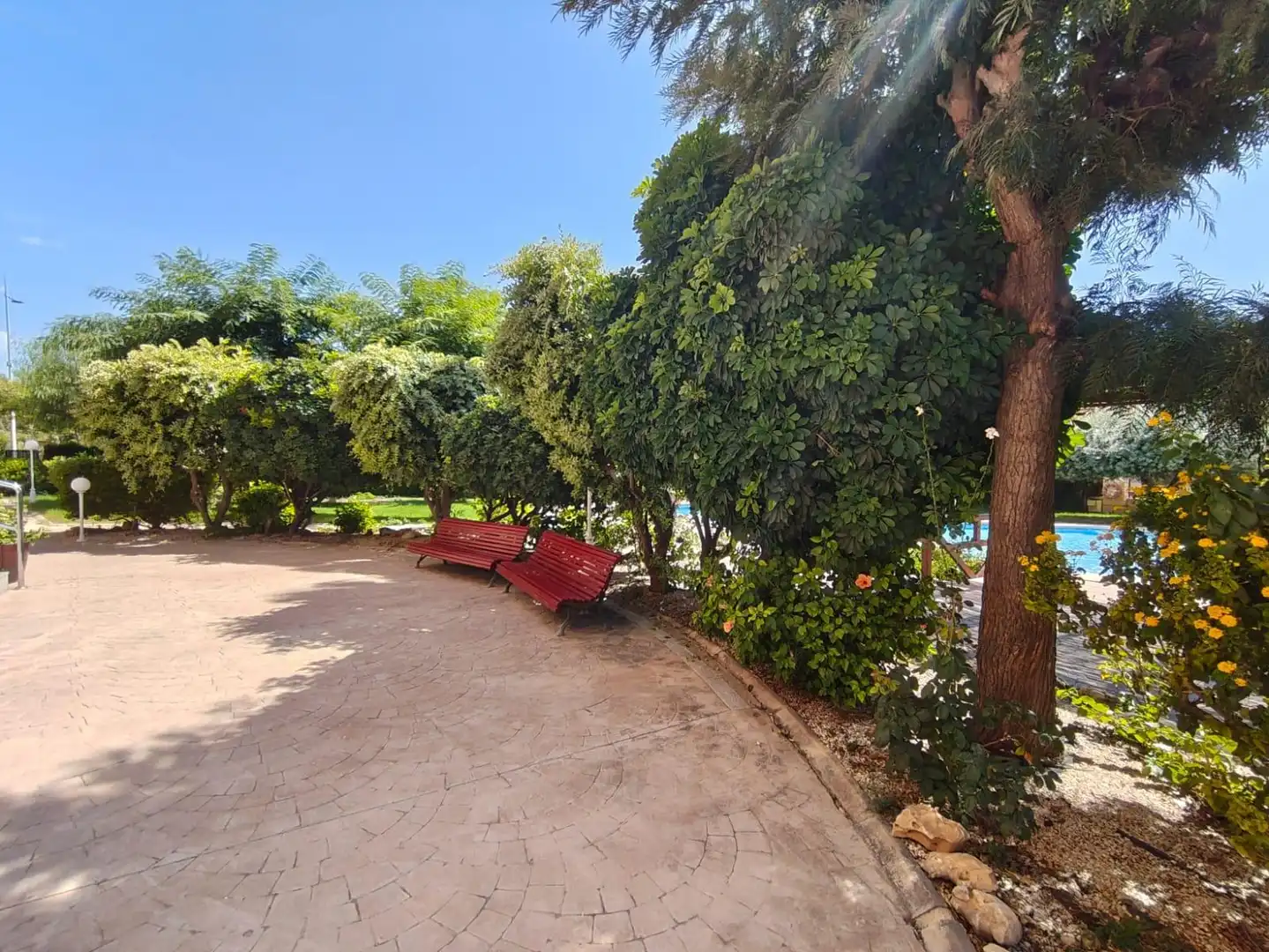 Appartement compact avec piscine à vendre à Juzgados - Plaza de Toros, imagen 24