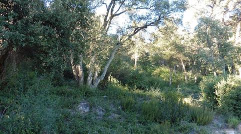 Foto 3 de Residencial en venda a Puig Brull, 163, Urbanitzacions del Nord, Santa Cristina d'Aro