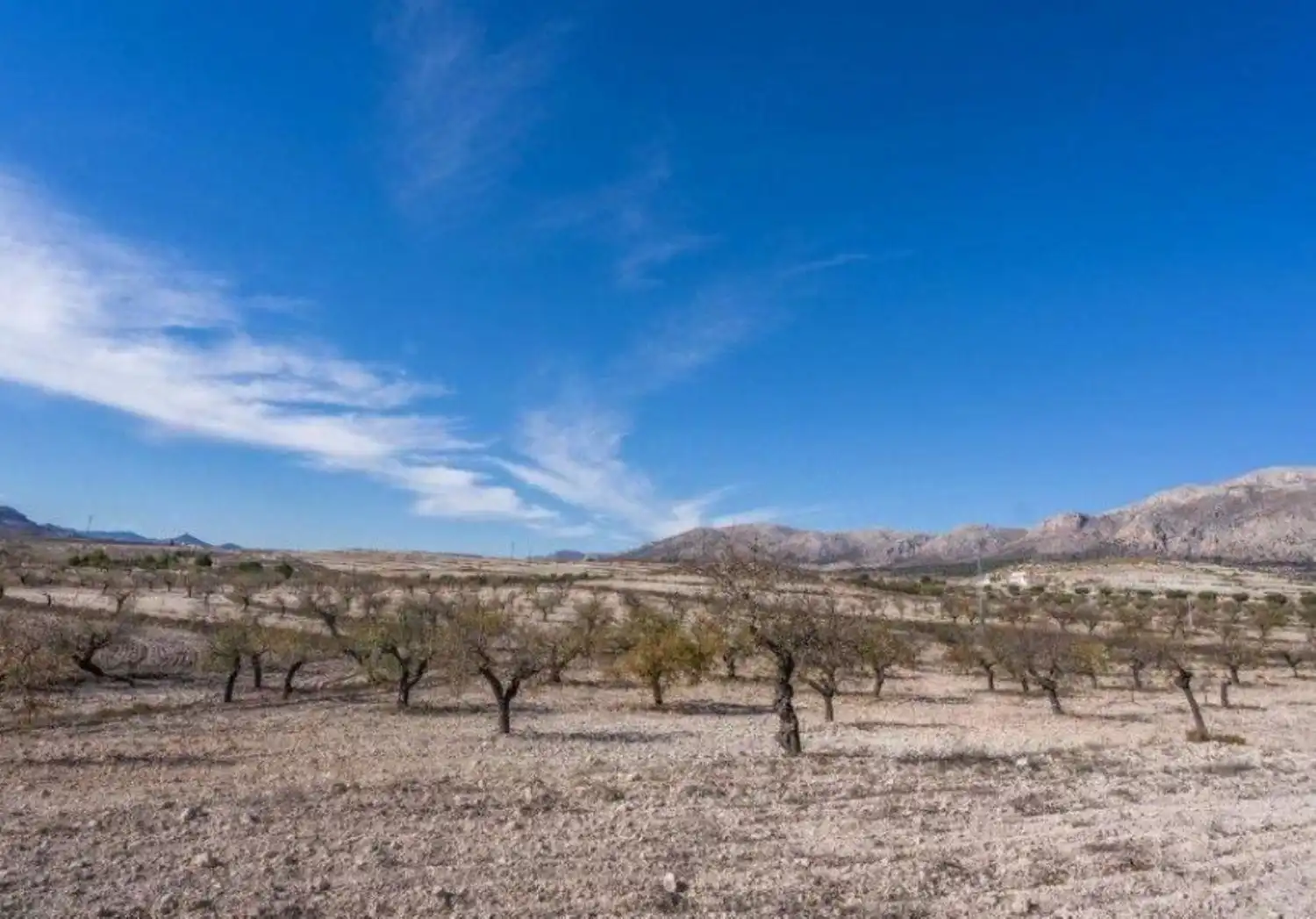 Finca rústica en venta en Vélez-Rubio con Calefacción, Jardín privado y Trastero