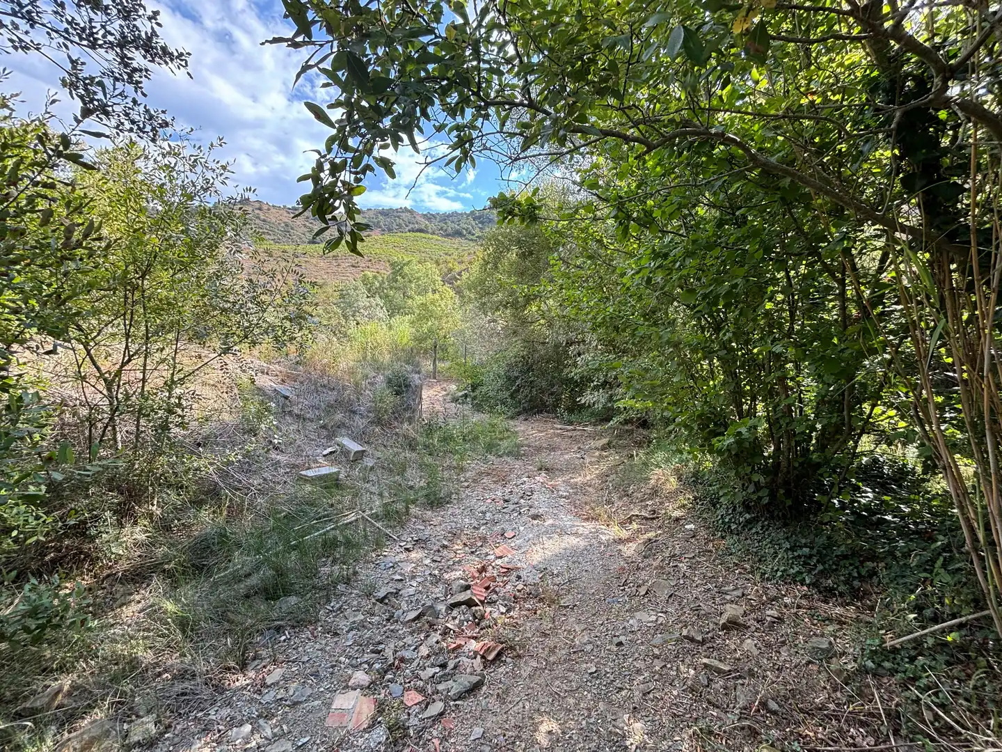 Terreno rústico en venta en Porrera, imagen 17