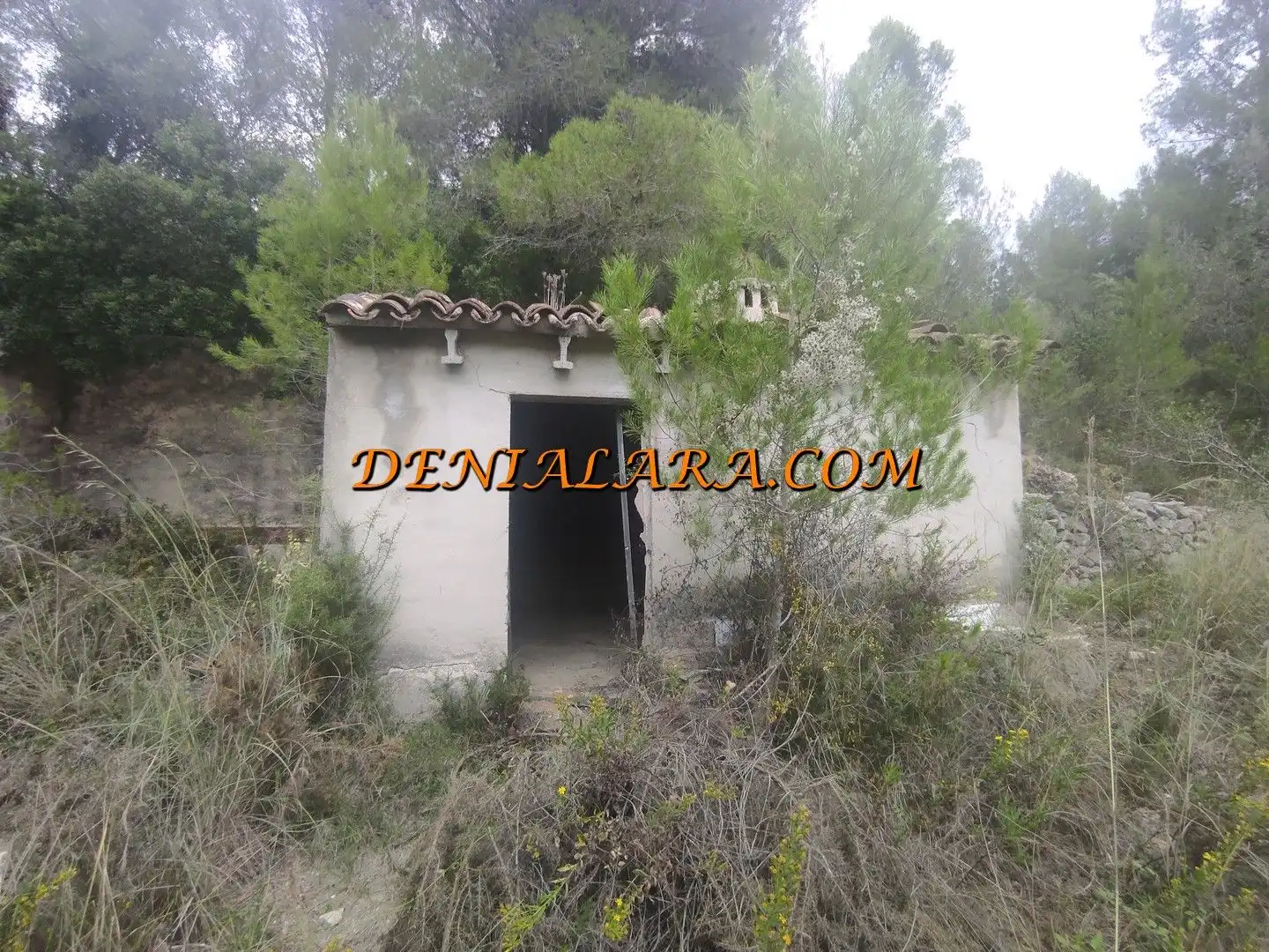 Terreno en venta en Sagra