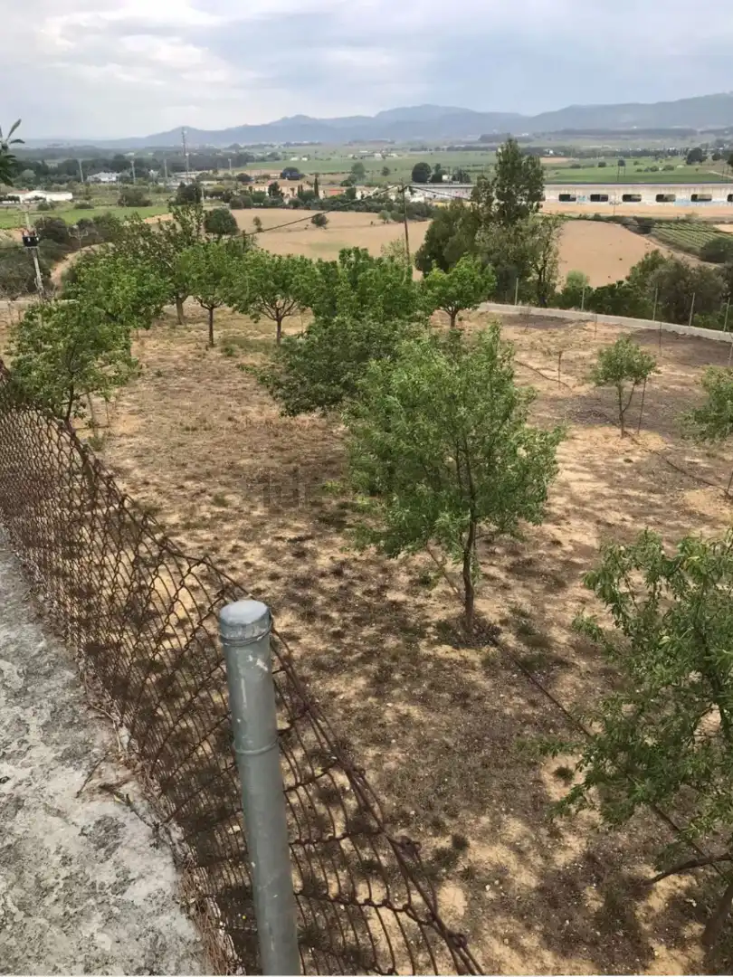 Finca rústica en venda a Carretera de Castellet, 114, L'Arboç