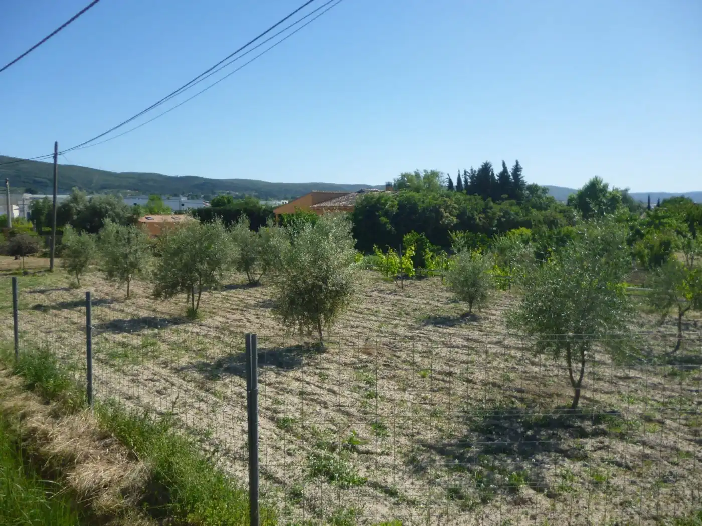 Terrain rustique à vendre à Sant Josep - Zona Hospital, imagen 5