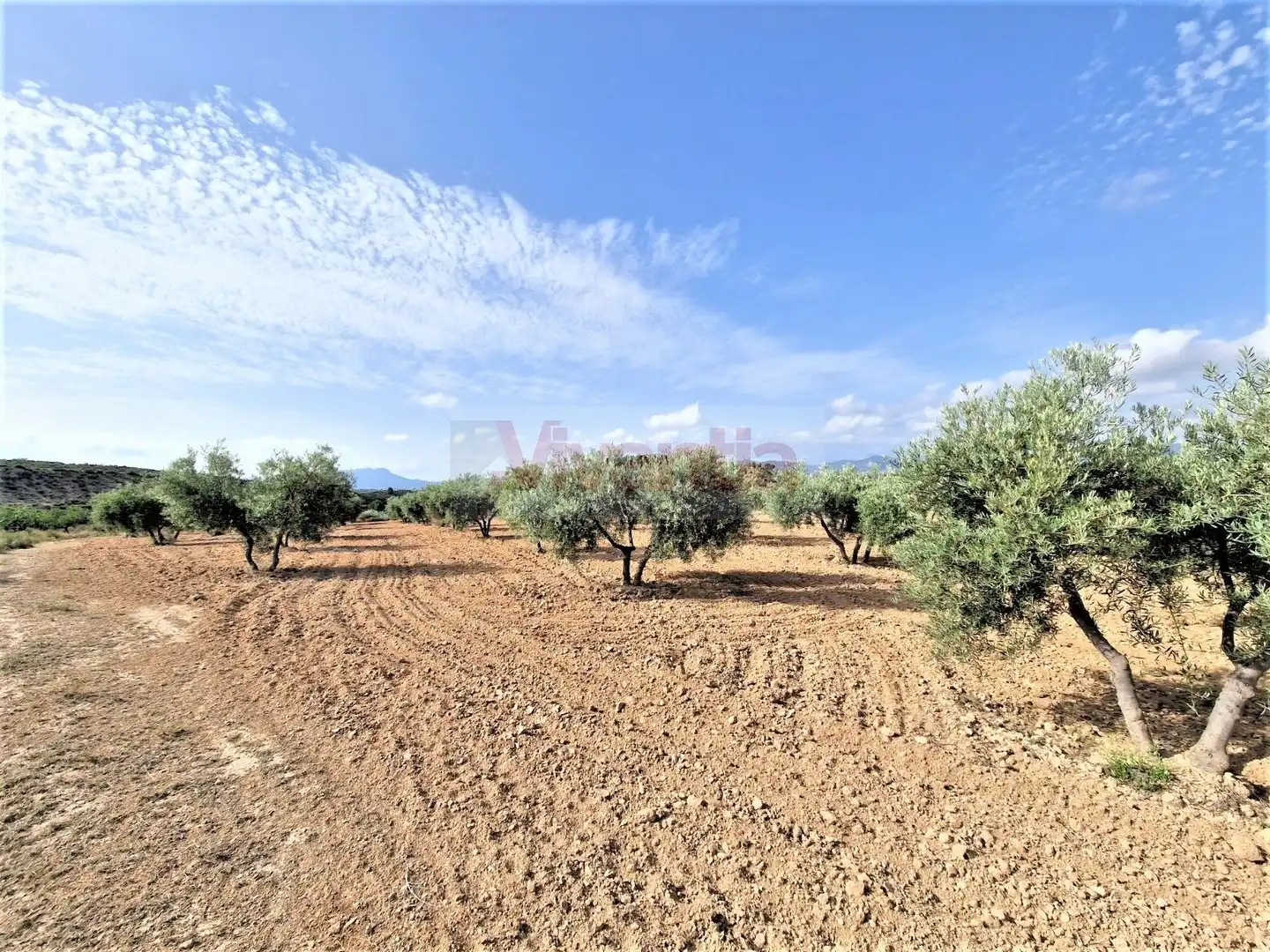 Casa o chalet en venta en Lorca