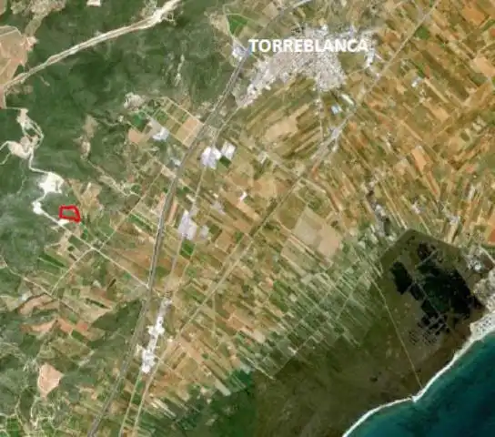 Terreny rústic en venda a Torreblanca, imagen 3