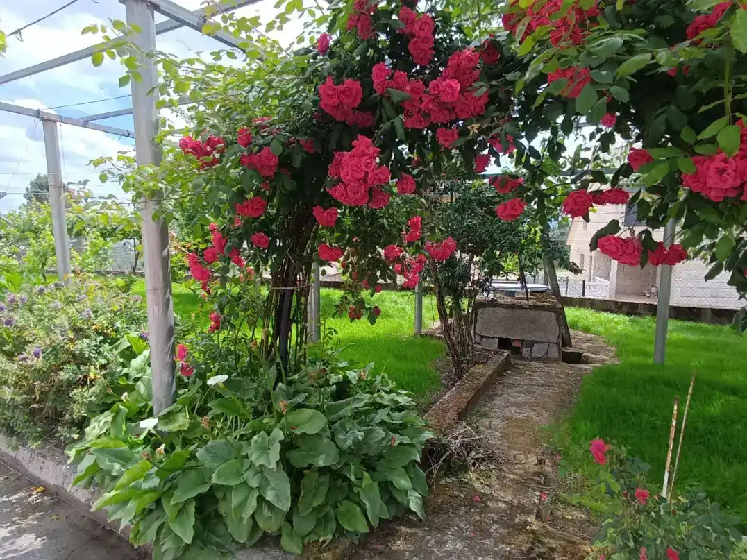 Jardí de Casa o xalet en venda en Ourense Capital  amb Piscina