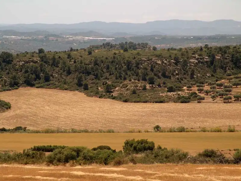 Finca rústica en venta en Alcañiz