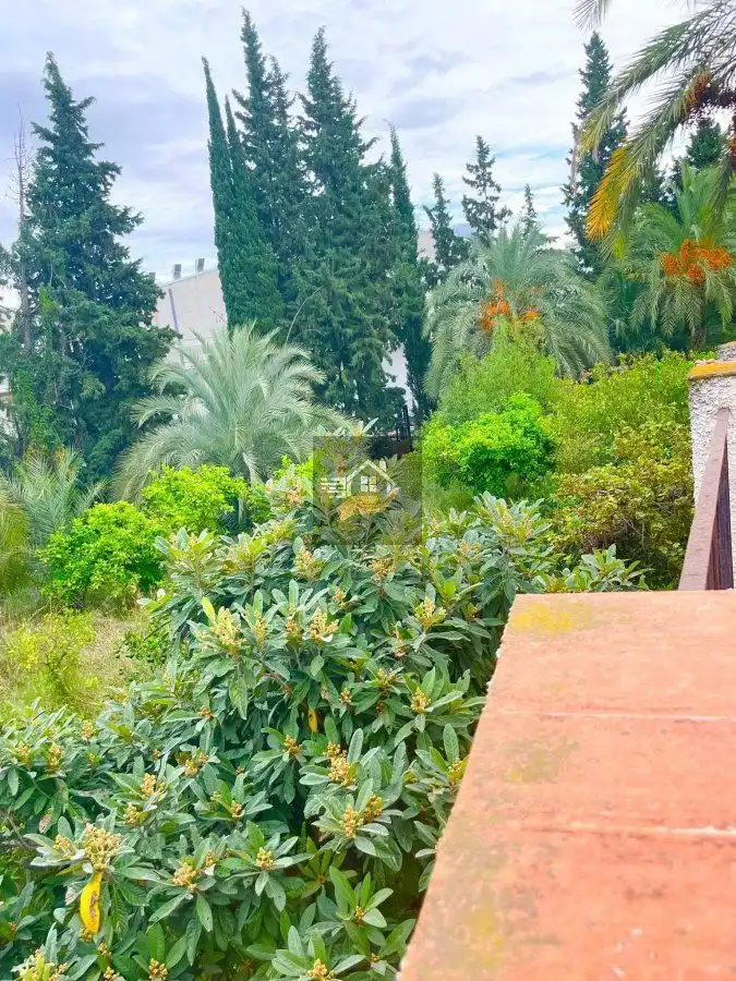 Jardín de Casa o chalet en venta en Molina de Segura con Terraza