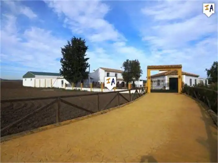 Finca rústica en venta en Mollina