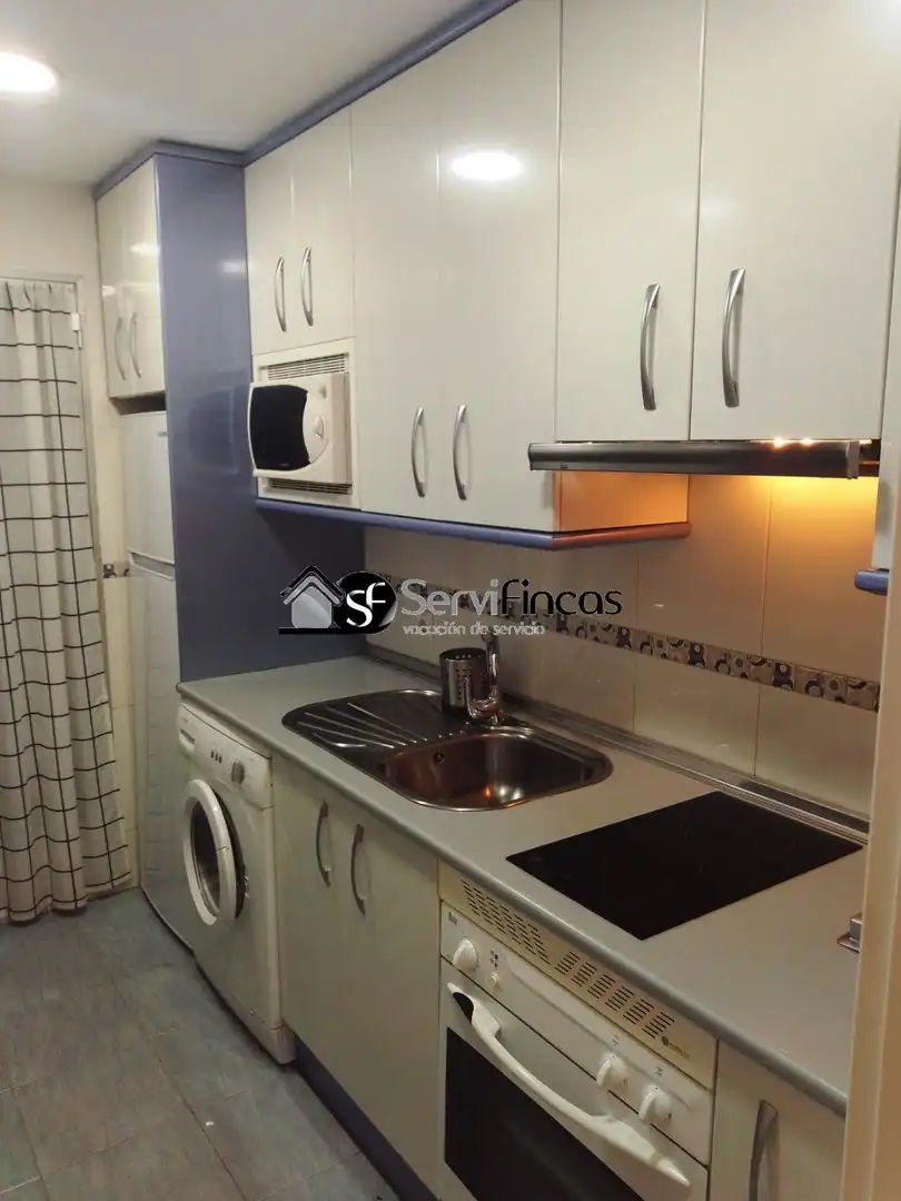Kitchen of Flat for rent in Madrid  with Air Conditioner, Terrace and Furnished