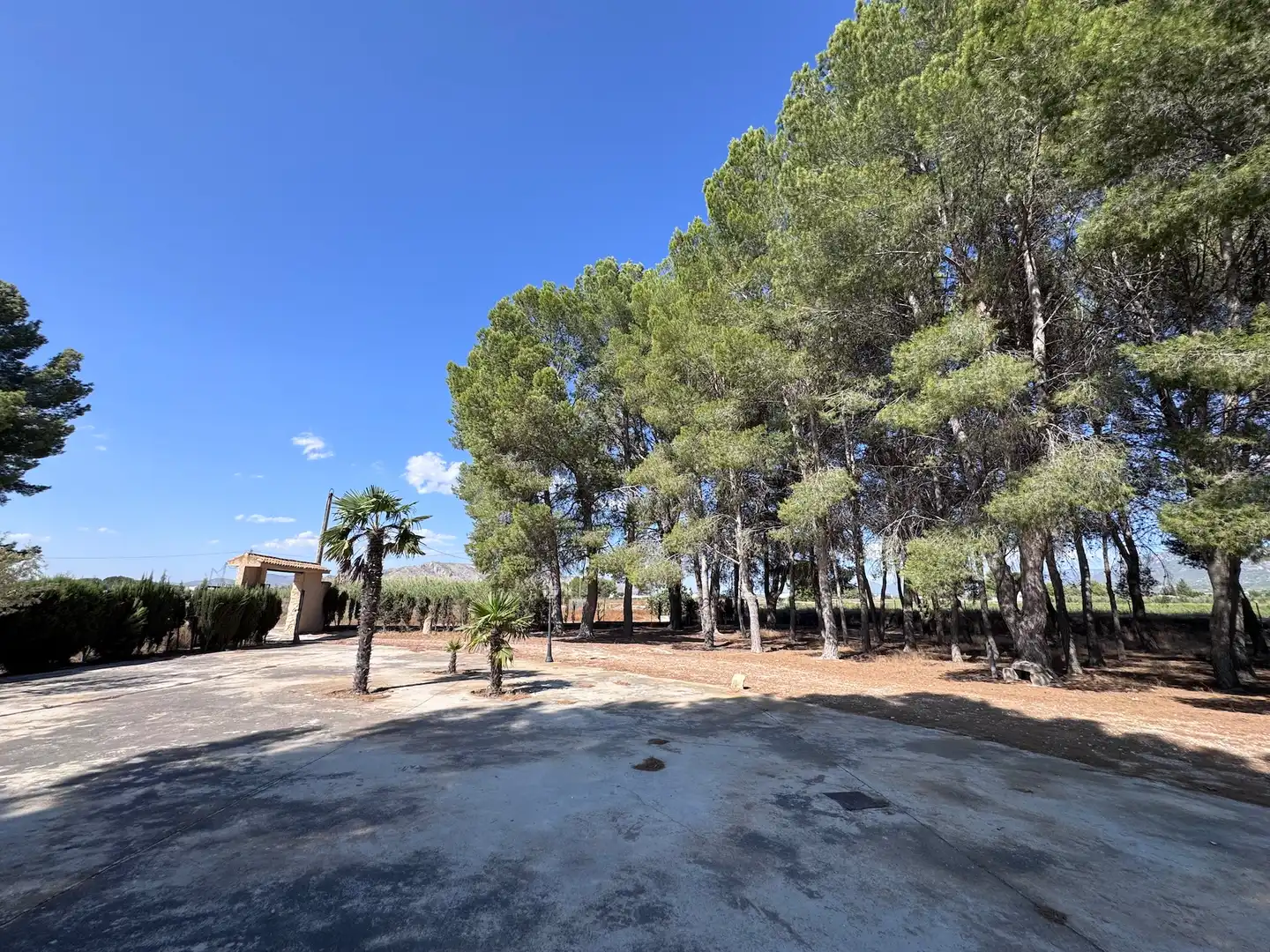 Casa rústica amb jardí en venda a Las Tiesas, imagen 22