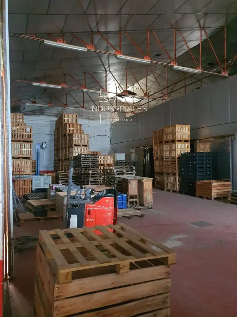 Industriegebäude zum Verkauf in Zona Industrial Borreguno-Camporrosso, imagen 2