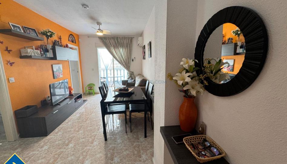 Photo 1 of Apartment for sale in Avenida Habaneras - Curva de Palangre, Alicante
