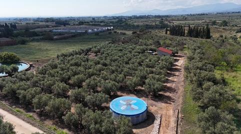 Foto 5 de Residencial en venda a Coll D'en Boch (p24 P3), Riudoms, Tarragona