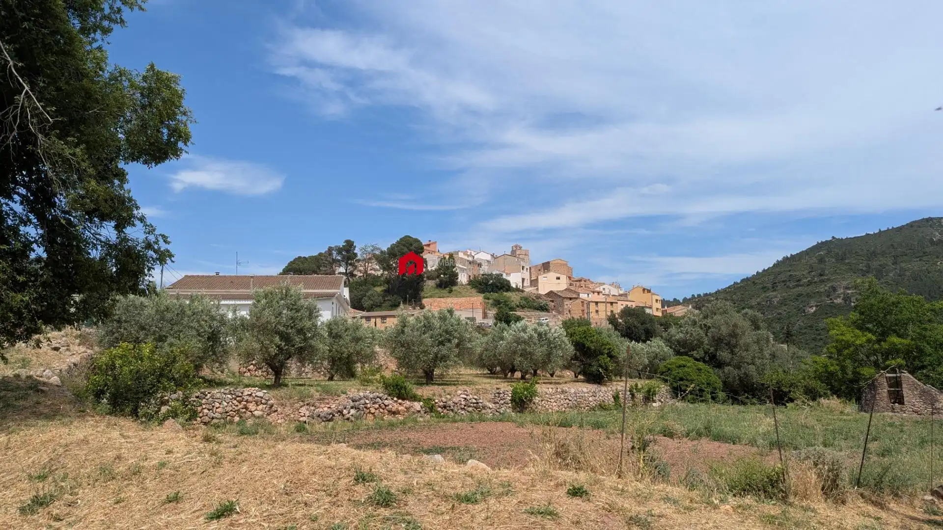 Grundstücke zum Verkauf in Alfara de Carles