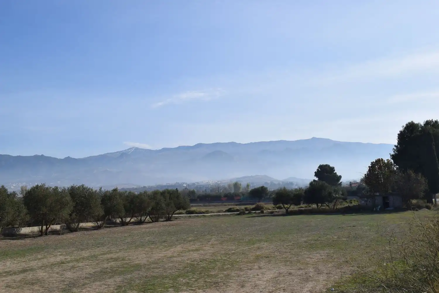 Terreno rustico in vendita a LOS MOLINOS, imagen 16