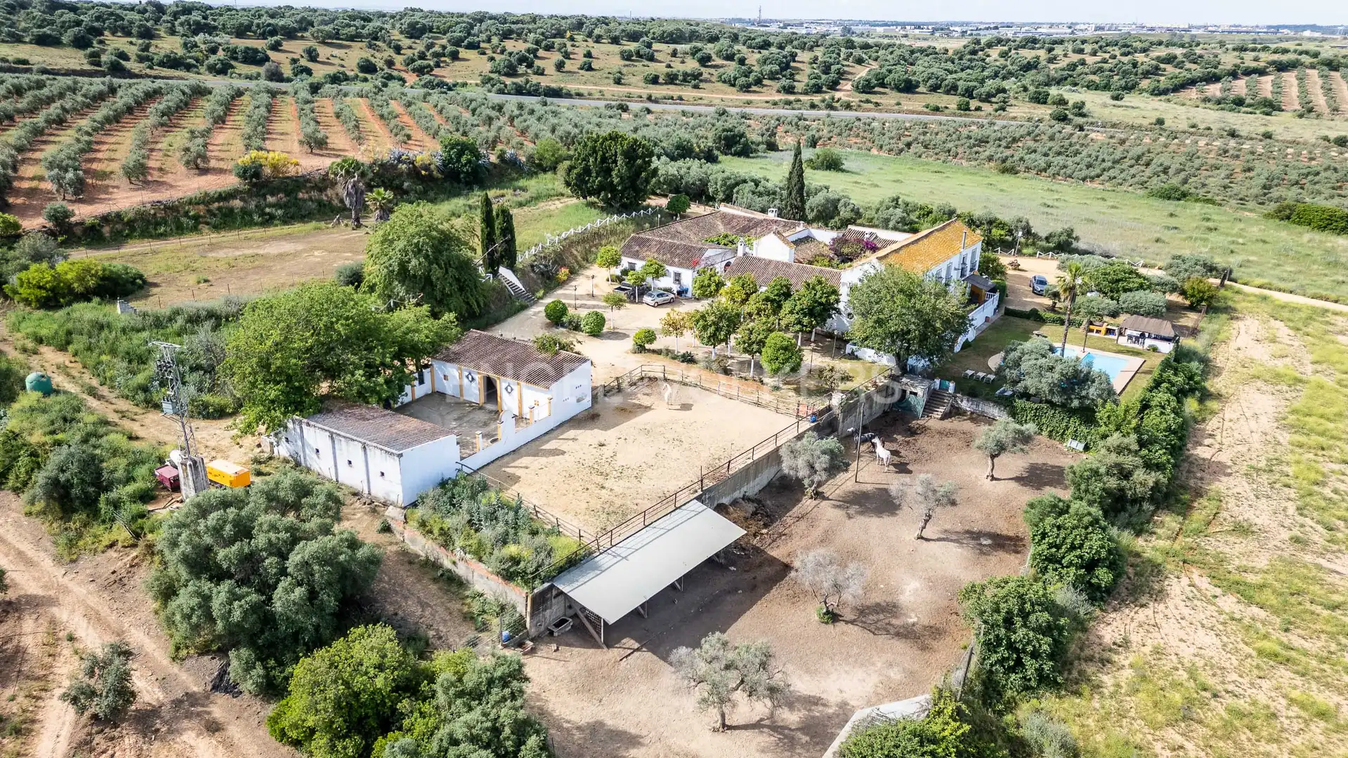 Jardí de Finca rústica en venda en Alcalá de Guadaira amb Calefacció, Jardí privat i Terrassa