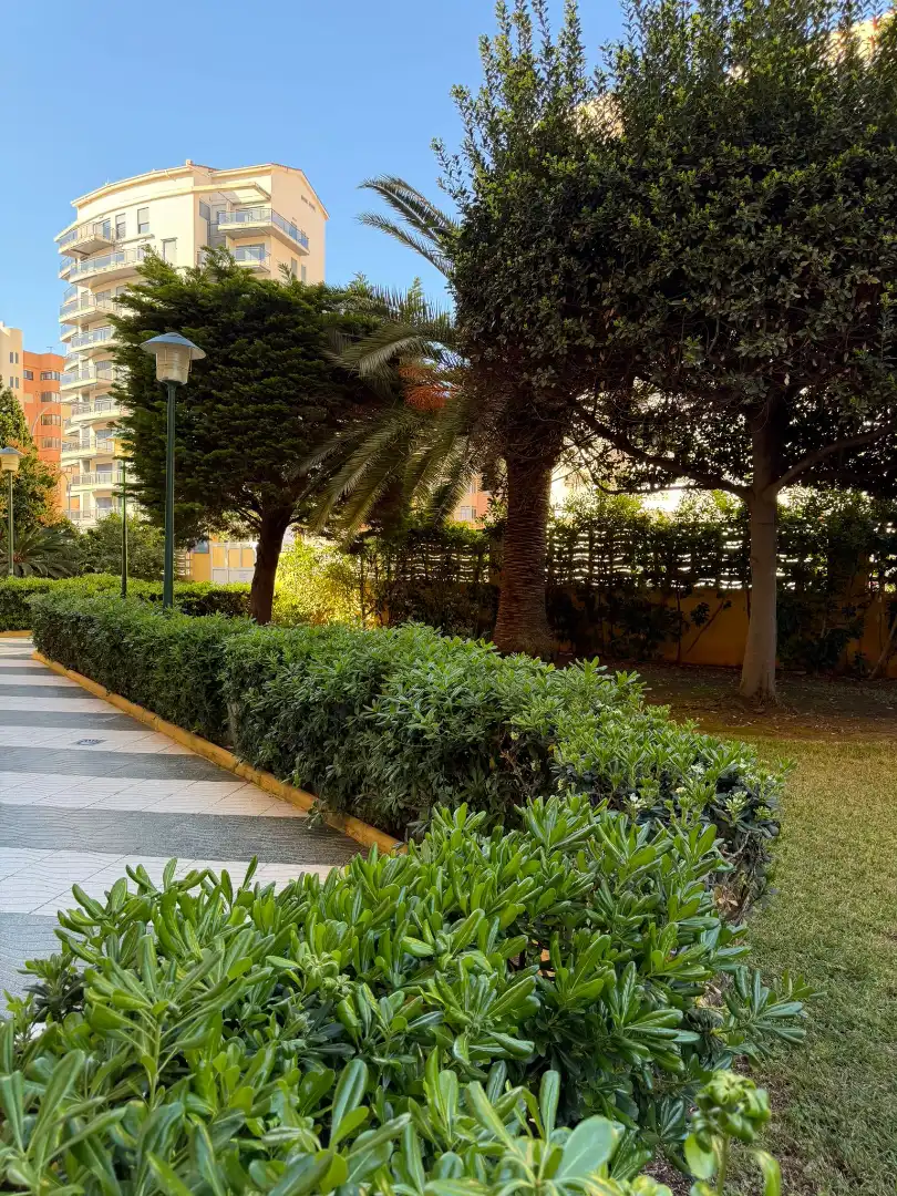 Jardín de Apartamento en venta en Gandia con Aire acondicionado, Amueblado y Piscina comunitaria